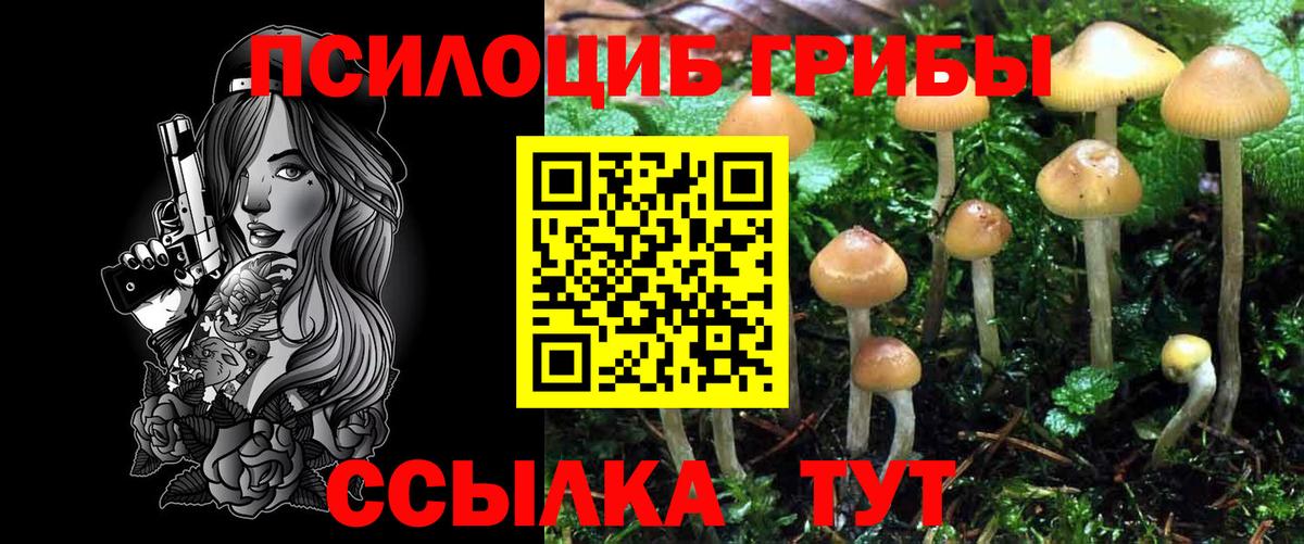 Псилоцибиновые грибы GOLDEN TEACHER  Вход с VPN  Томск 